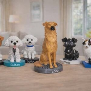 Tu Mascota En Figura 3d Personalizada-caricatura O Realista
